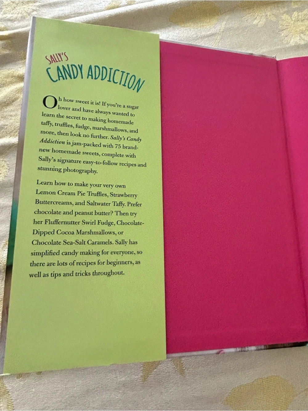 Sally’s Candy Addiction Hardcover Book